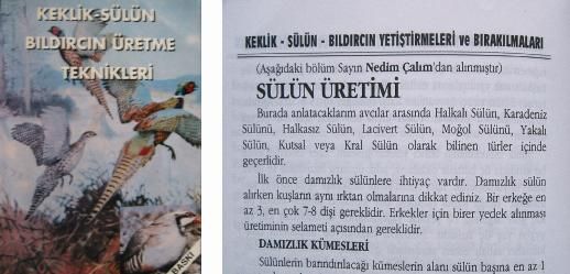 s_l_n_kitab__1.jpg